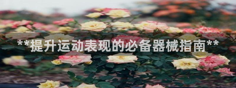 尊龙在线登录官网：**提升运动表现的必备器械指南**