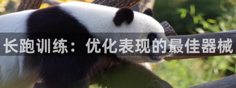 尊龙现金一下S选来就送38：长跑训练：优化表现的最佳器械
