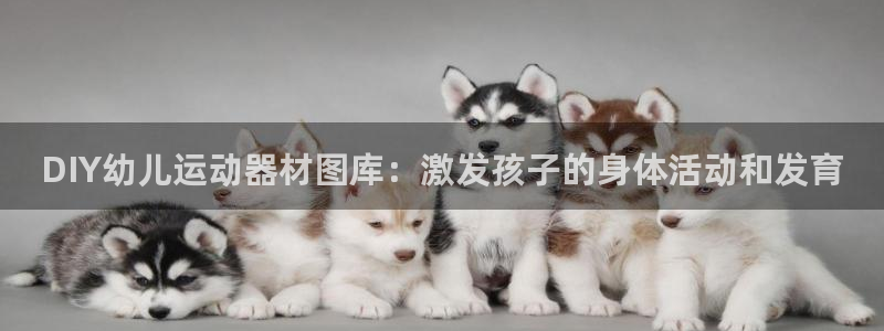 尊龙现金一下指导AG发财网：DIY幼儿运动器材图库：