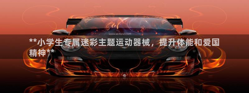 凯时app官网首页：**小学生专属迷彩主题运动器械，