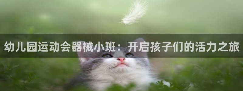 凯时登录首页,凯时K66：幼儿园运动会器械小班：开启