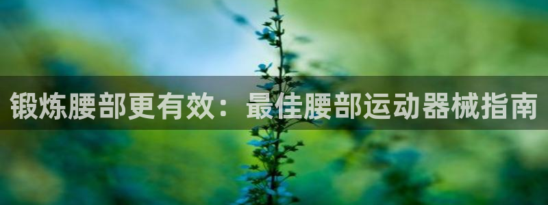 尊龙人生就是博下载：锻炼腰部更有效：最佳腰部运动器械指南