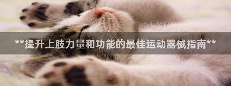 尊龙凯时平台有没有不到账的：**提升上肢力量和功能的最佳运动