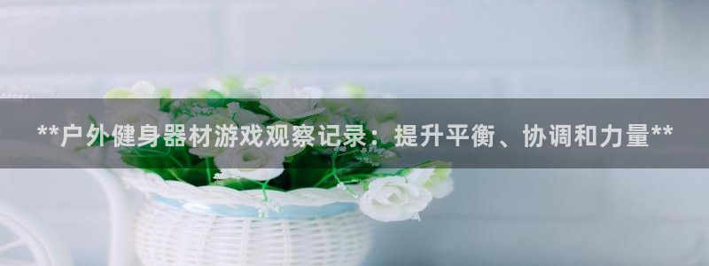 尊龙人生就是博l：**户外健身器材游戏观察记录：提升