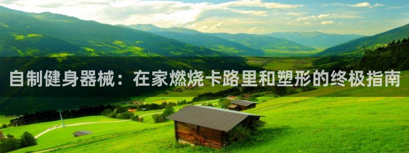 尊龙凯时网站登录：自制健身器械：在家燃烧卡路里和塑形
