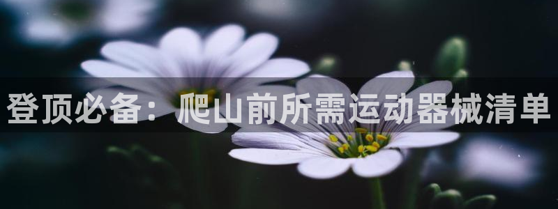 尊龙凯时的最新消息：登顶必备：爬山前所需运动器械清单