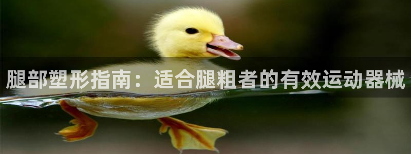 尊龙注册码：腿部塑形指南：适合腿粗者的有效运动器械