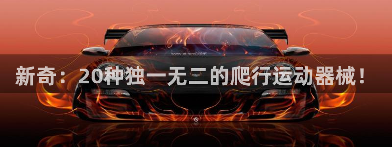 尊龙 国外