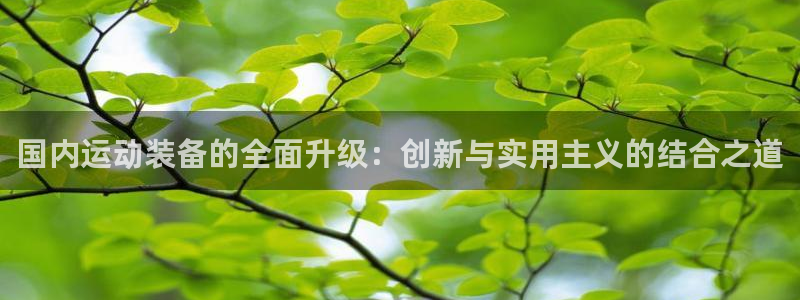 凯时旗舰厅App下载