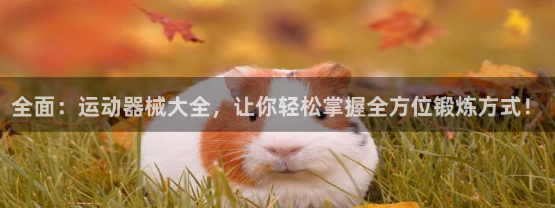 尊龙凯时人生就是博官网登录