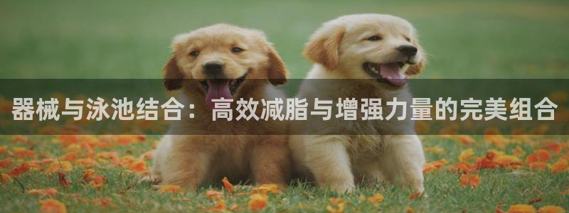尊龙凯时捕鱼游戏能玩吗