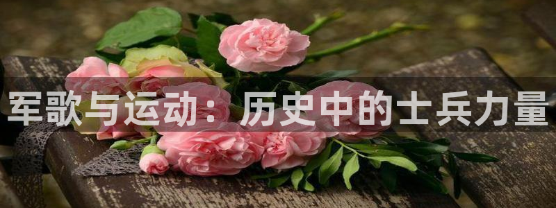 凯时k66会员登录
