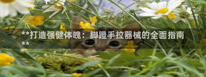 尊龙凯时网站首页手机登录：**打造强健体魄：脚蹬手拉