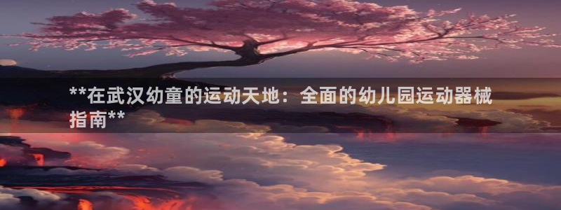 尊龙凯时只输不赢：**在武汉幼童的运动天地：全面的幼