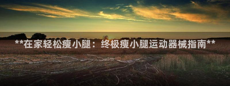 z6com尊龙：**在家轻松瘦小腿：终极瘦小腿运动器