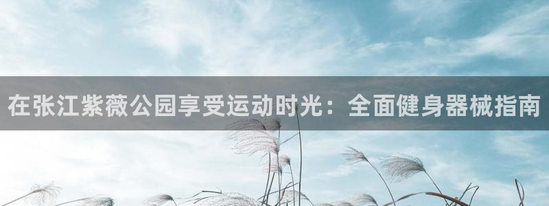 凯时国际app首页登录：在张江紫薇公园享受运动时光：