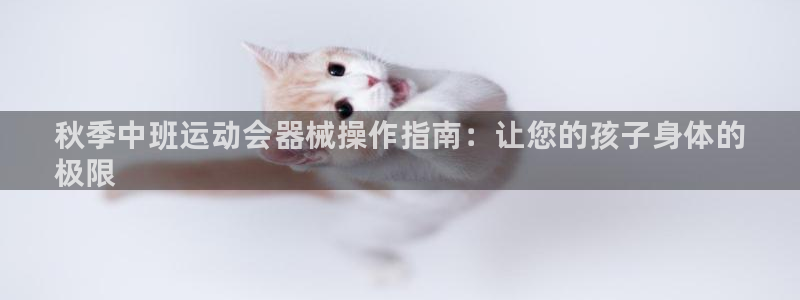 凯时登录平台去AG发财网：秋季中班运动会器械操作指南