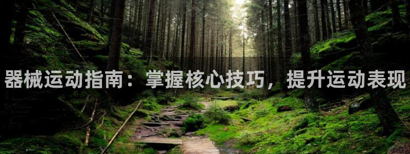 尊龙凯时为什么输了钱：器械运动指南：掌握核心技巧，提