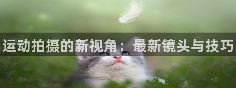 尊龙凯时app产品介绍