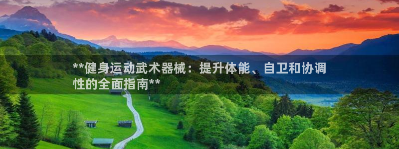 尊龙app认可ag发财网：**健身运动武术器械：提升