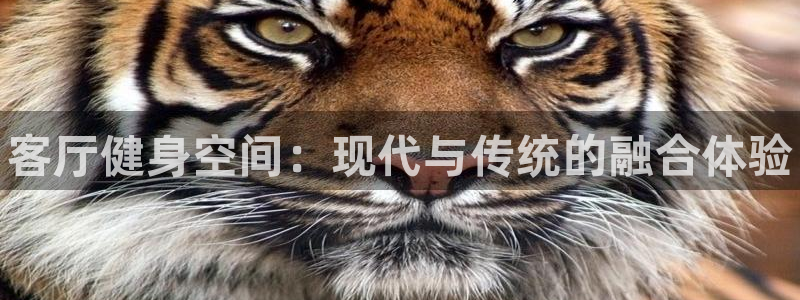 尊龙网站注册网