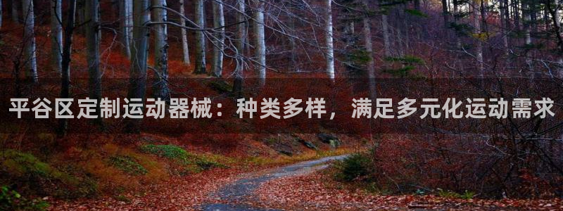 尊龙凯时代理官网入口：平谷区定制运动器械：种类多样，满足多元